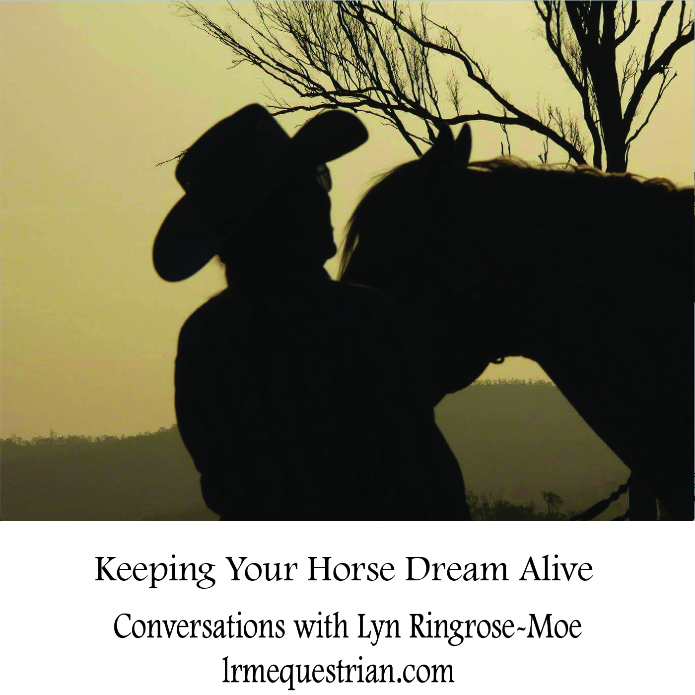 LRM Equestrian Services